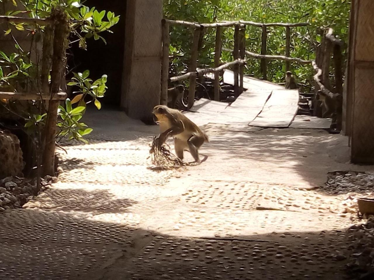 Bintang Bolong Lodge Екстериор снимка